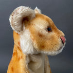 STEIFF Young Lion Hand Puppet ~ 1950s Rare!