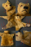 TEDDY BEAR Hand Puppet ~ 1950s