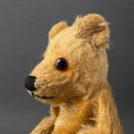 TEDDY BEAR Hand Puppet ~ 1950s