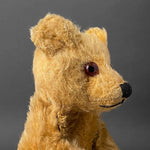 TEDDY BEAR Hand Puppet ~ 1950s