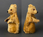 TEDDY BEAR Hand Puppet ~ 1950s