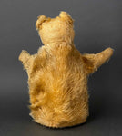 TEDDY BEAR Hand Puppet ~ 1950s