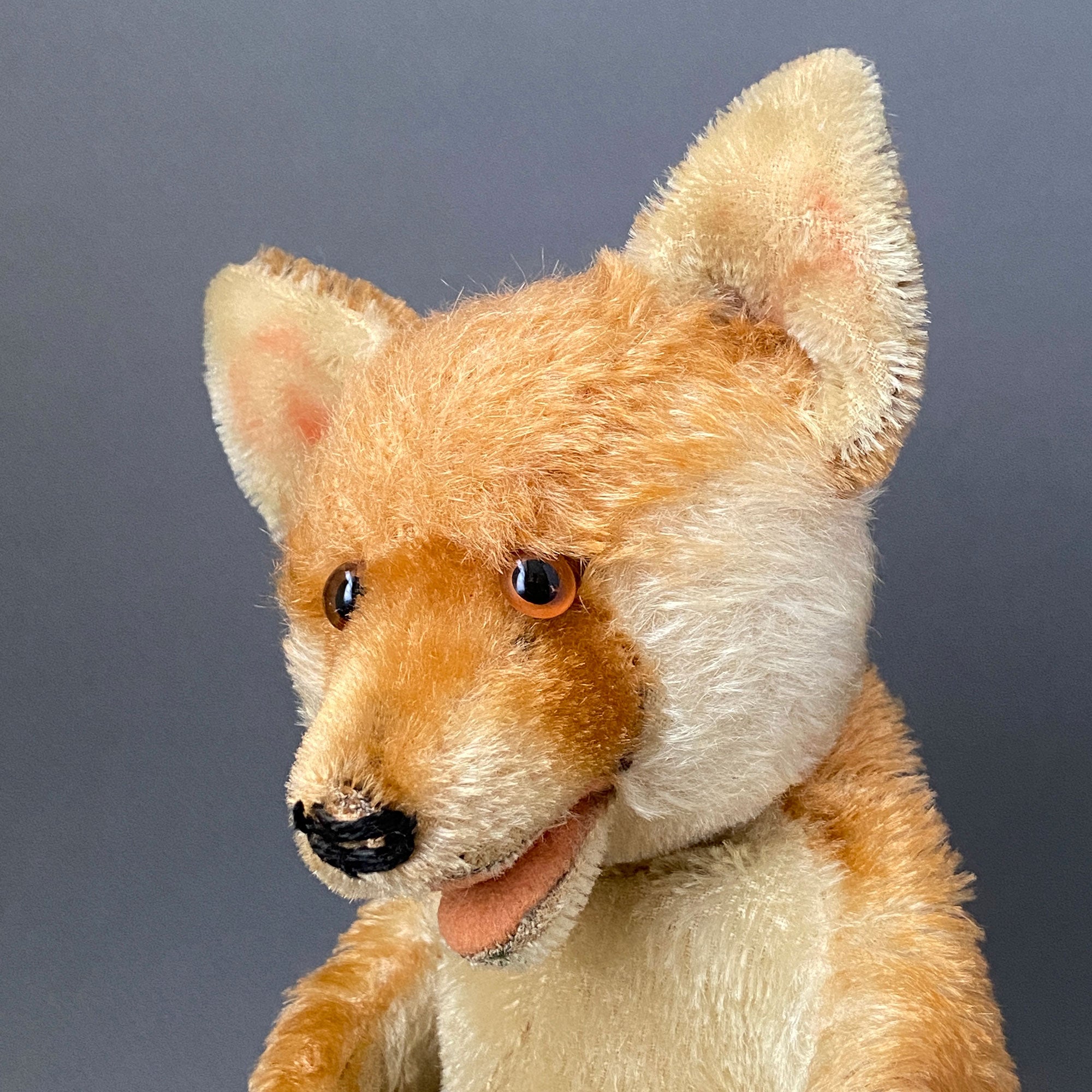 01-Steiff-Fox-puppet-IMG_5116.