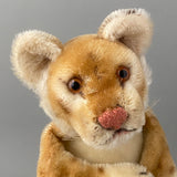 STEIFF Young Lion Hand Puppet ~ 1950-60s Rare!