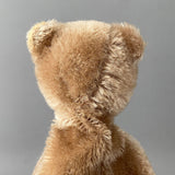 CLEMENS Teddy Bear Hand Puppet ~ 1950s Rare!